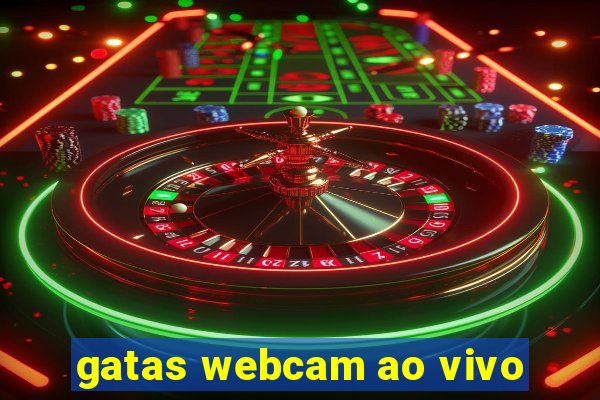 gatas webcam ao vivo